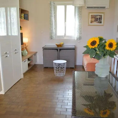 Mimosa Les Lecques